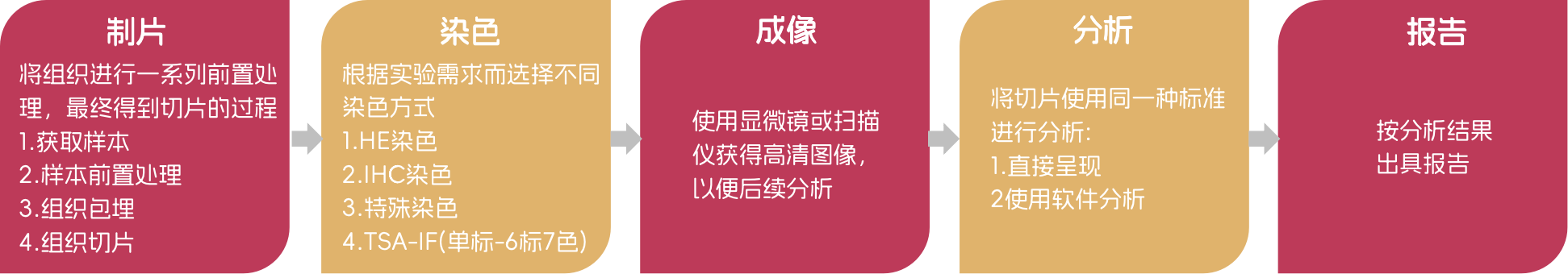 免疫组化-内图.png